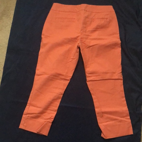 Capris - Picture 3 of 3